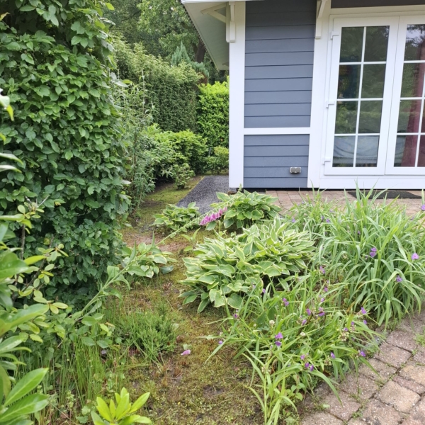 WhatsApp Image 2025-08-20 at 19.06.37 (1)