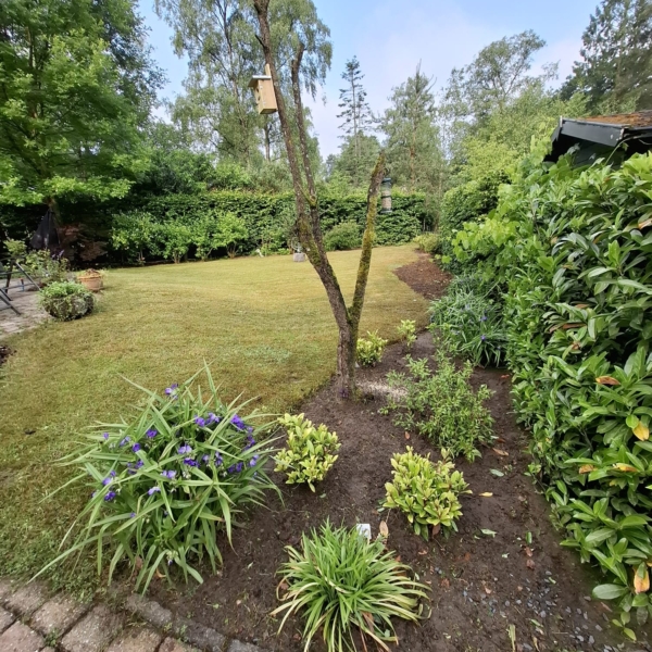 WhatsApp Image 2025-08-20 at 19.06.44 (1)