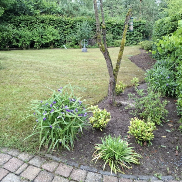 WhatsApp Image 2025-08-20 at 19.06.44