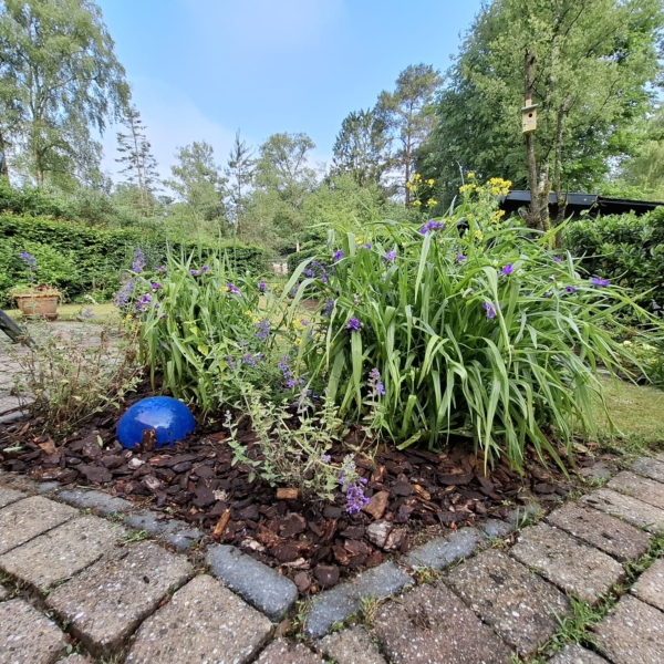 WhatsApp Image 2025-08-20 at 19.06.45