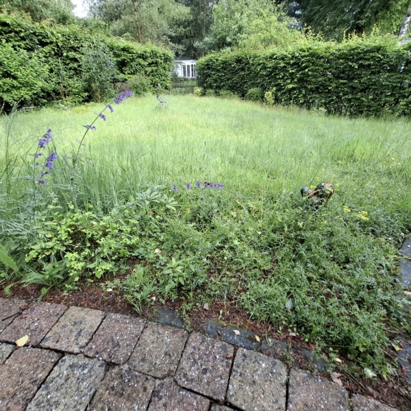 WhatsApp Image 2025-08-20 at 19.12.15